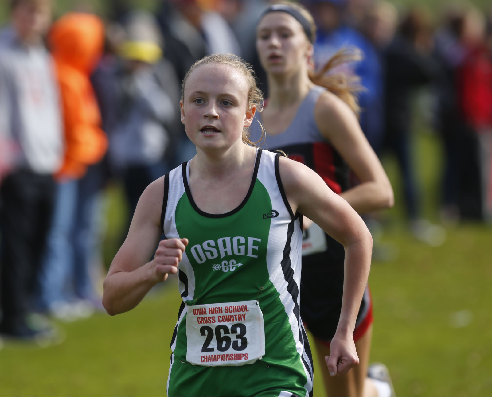 2016 State Cross Country Meet